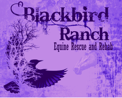 Blackbird Ranch